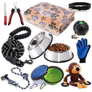 Greyhound Puppy Starter Kit