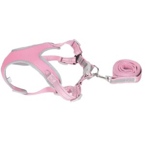 Whippet Puppy Harness