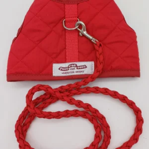 Greyhound Puppy Leash - 2m