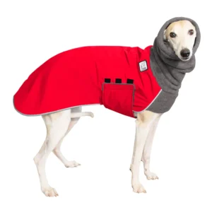 Whippet Puppy Winter Coat